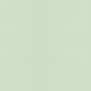 Meet your Posher, Janett